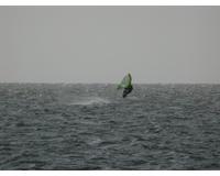 mar029
